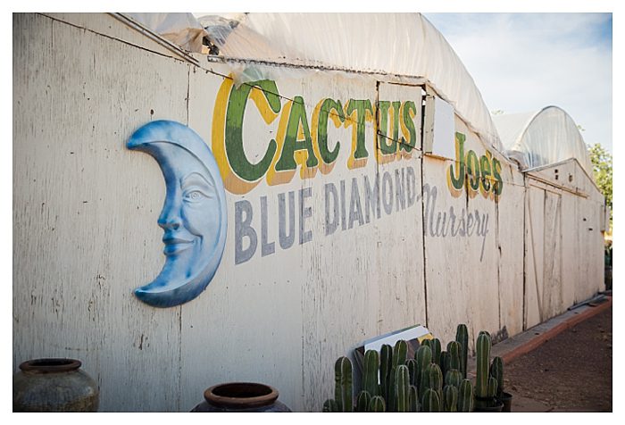 Cactus Joe's Blue Diamond Nursery